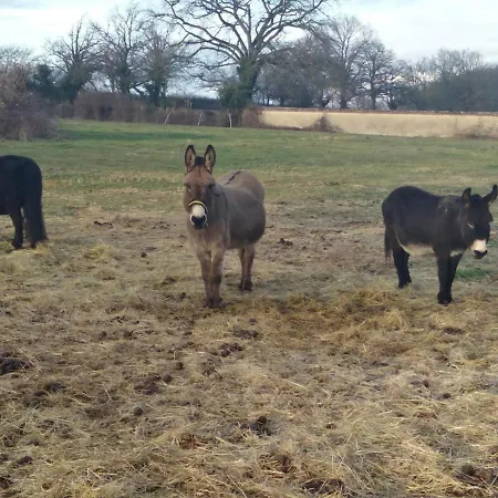 Dom wakacyjny Ancienne Bergerie Restauree Avec Animaux Acceptes - Fr-1-489-13