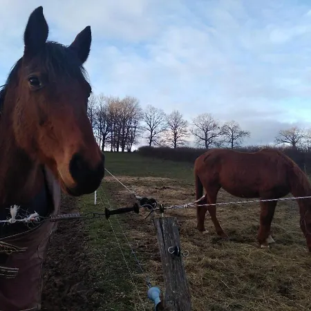 Vakantiehuis Ancienne Bergerie Restauree Avec Animaux Acceptes - Fr-1-489-13