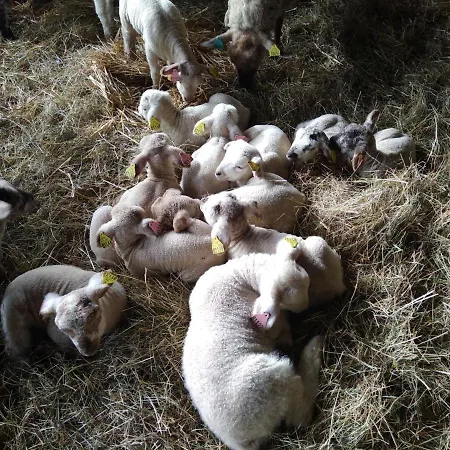 Casa rural Ancienne Bergerie Restaurée Avec Animaux Acceptés - Fr-1-489-13 *