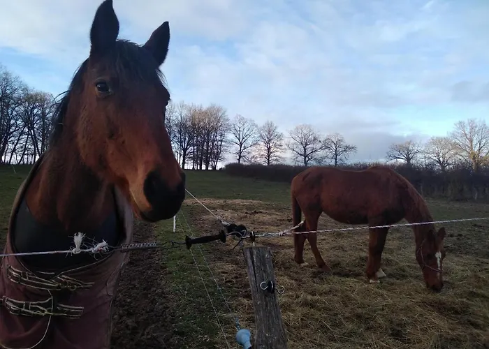 Prázdninový dům Ancienne Bergerie Restauree Avec Animaux Acceptes - Fr-1-489-13
